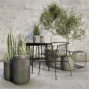 Outdoor_plant_set